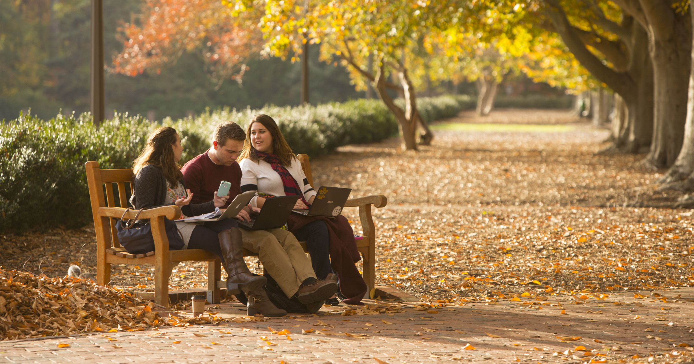 The W&M MBA turns 50