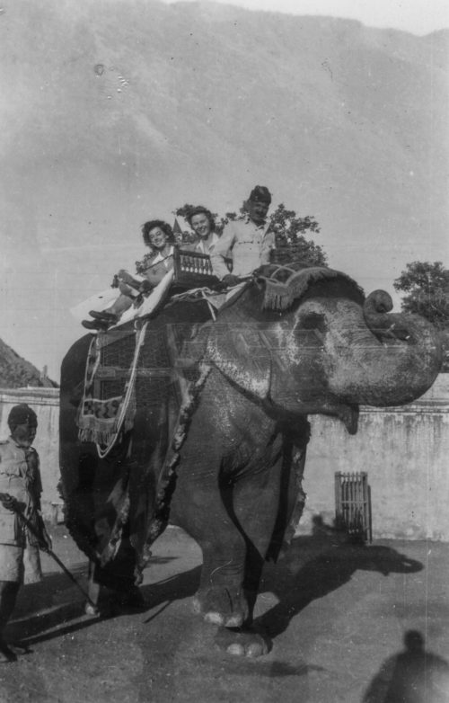 Allen on an elephant