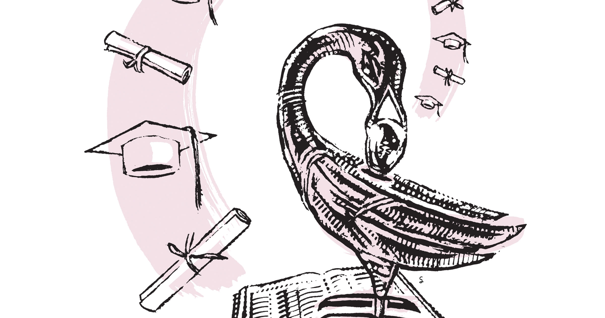 50th_book_thumbnail_crop.jpg