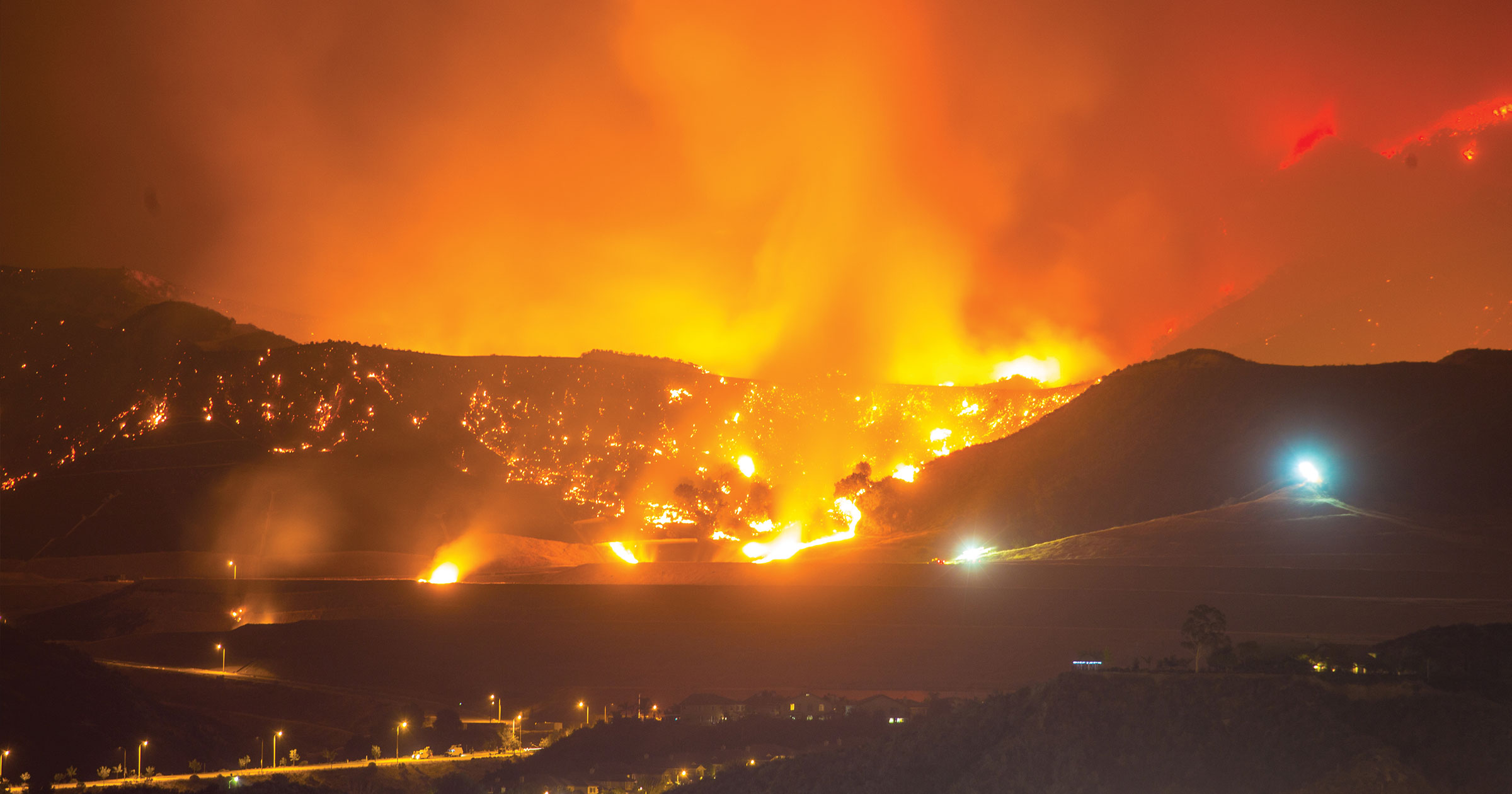 Rising from the Ashes