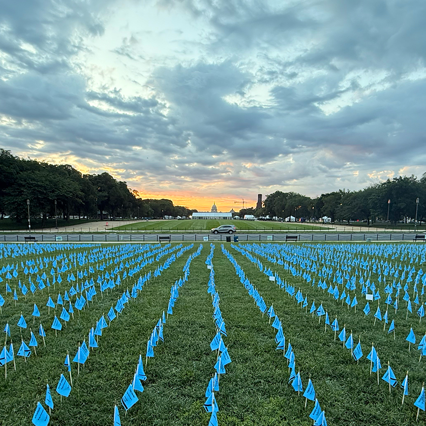 grass lawn filled with small blue flags with the U.S. Capitol in the background