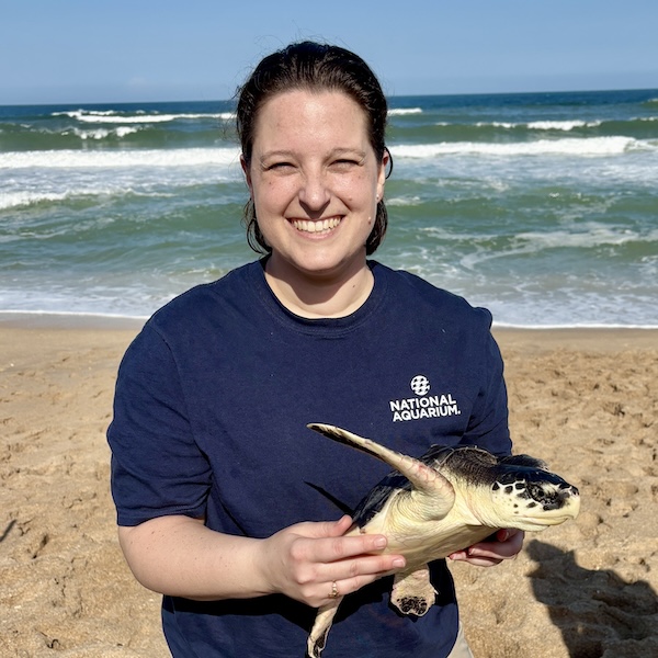 Woman holding a sea turtle