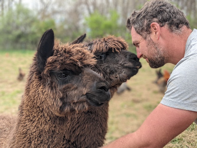 Connor Horne '10 and alpacas Mike and Al.