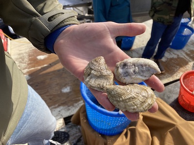 Every Oyster Counts