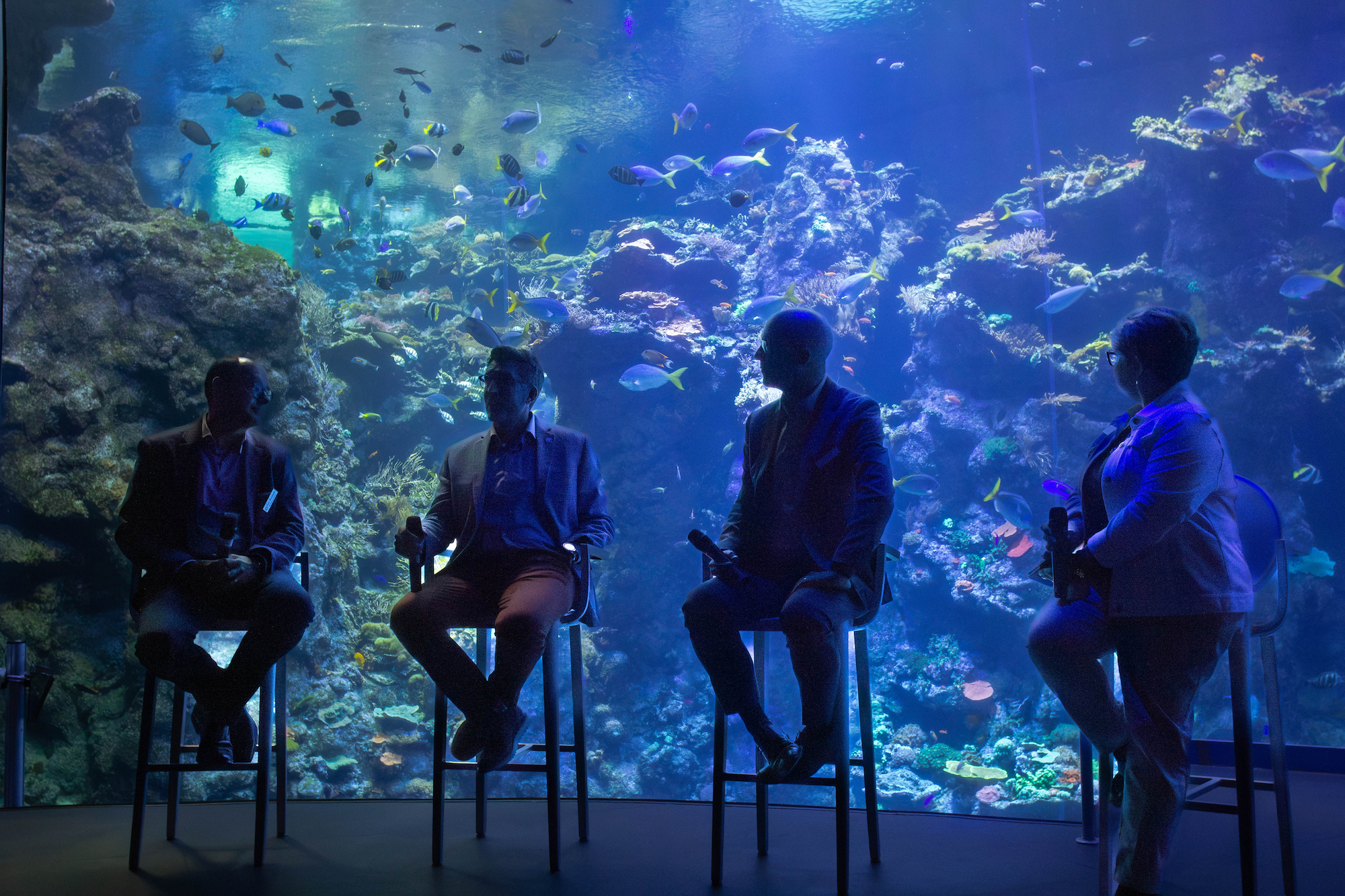 Deep Dive panel at the Steinhart Aquarium