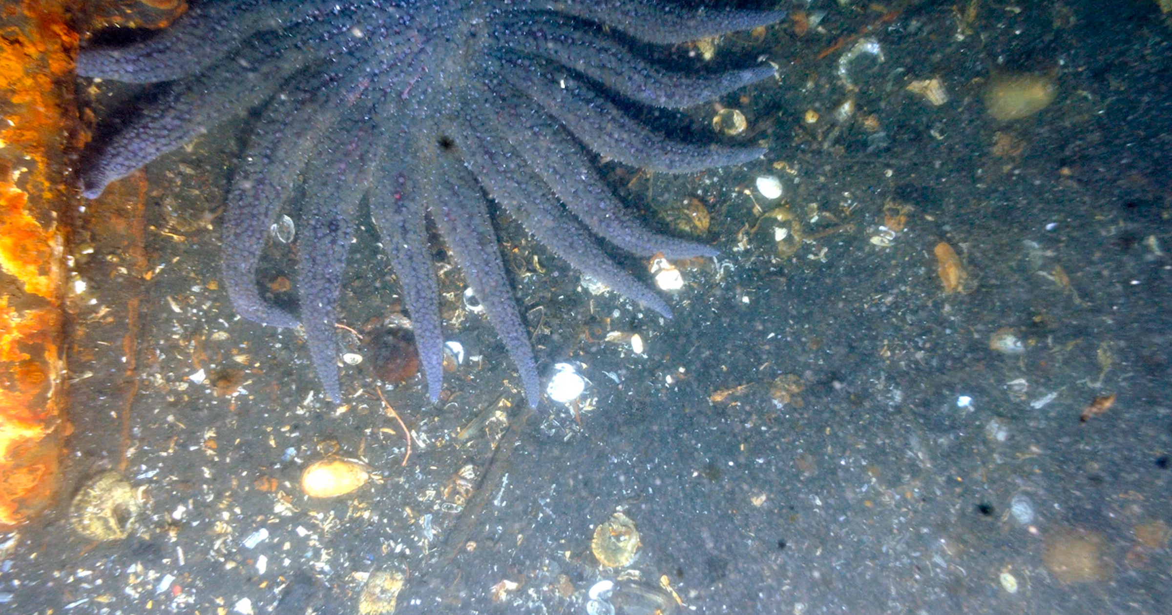 A Deeper Dive: Surveying the Sea Floor