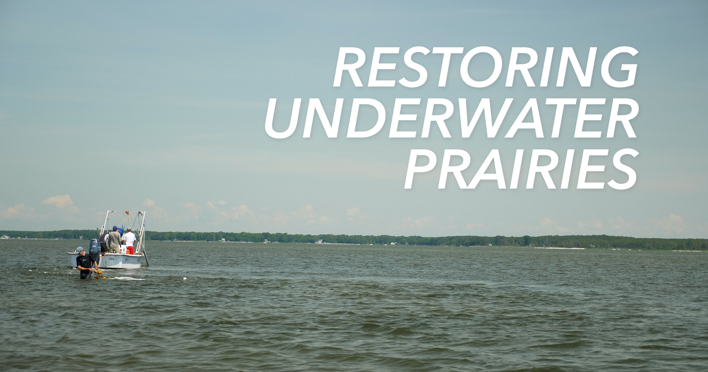Restoring Underwater Prairies